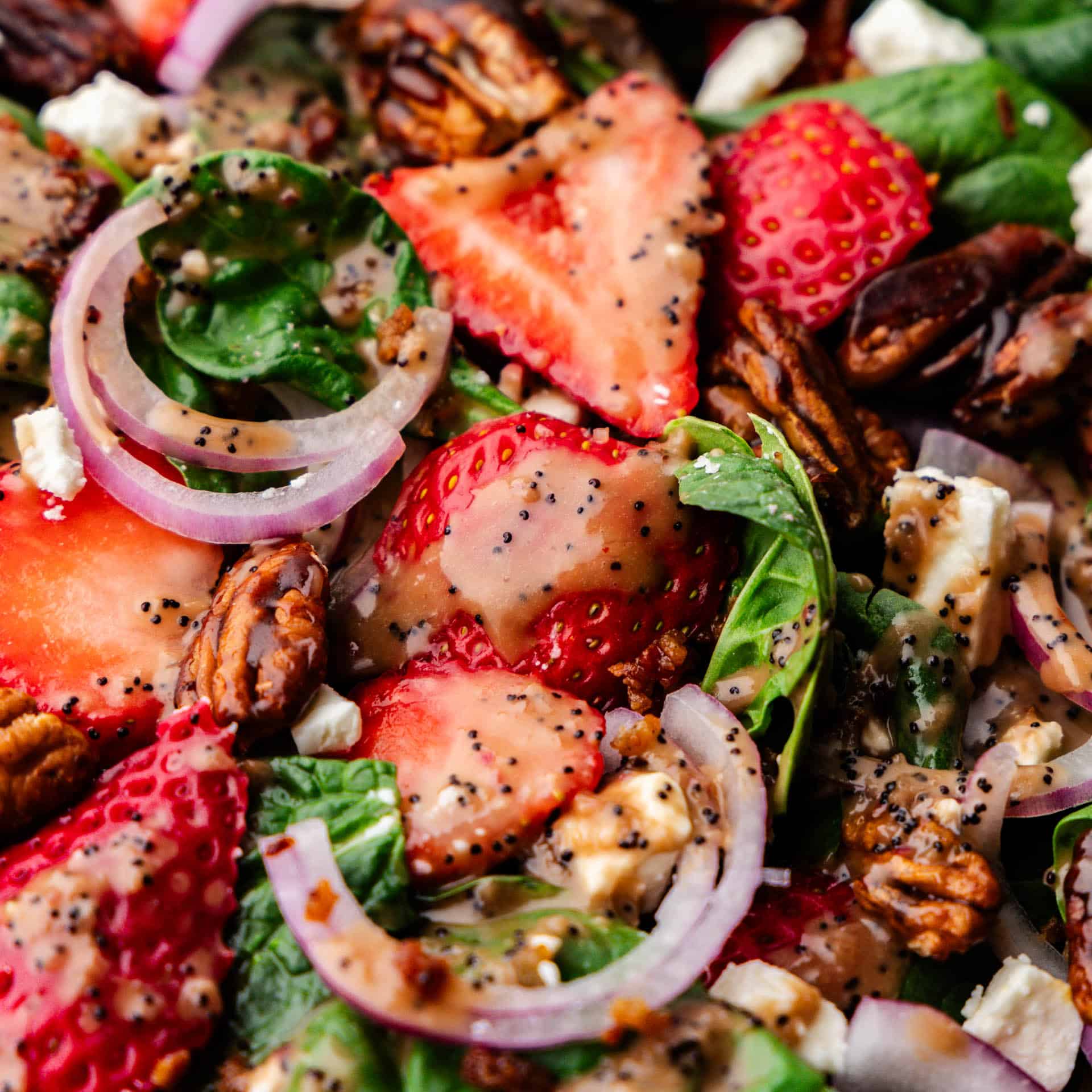 A close up view of strawberry spinach salad, show all of its yummy ingredients.